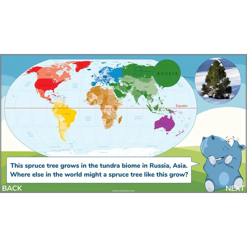 Plants of the World - Image 33