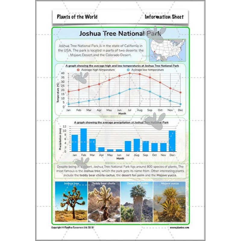 Plants of the World - Image 44