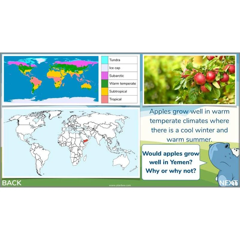 Plants of the World - Image 7