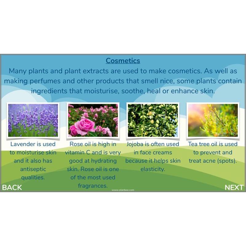 Plants of the World - Image 8