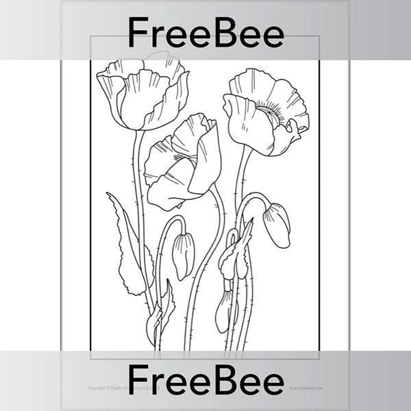 Poppies Colouring Pages - Image 2