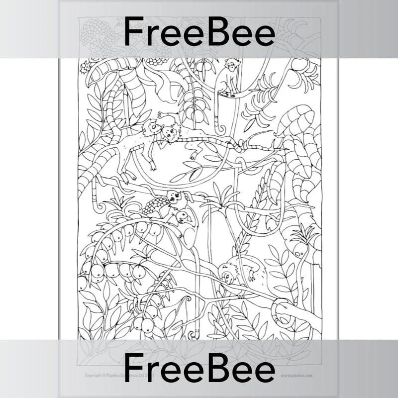 Rainforest Art KS2 Mindfulness Colouring Pages
