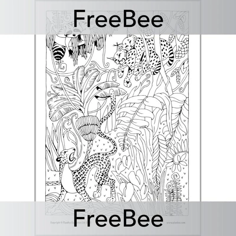 Rainforest Art KS2 Mindfulness Colouring Pages - Image 3