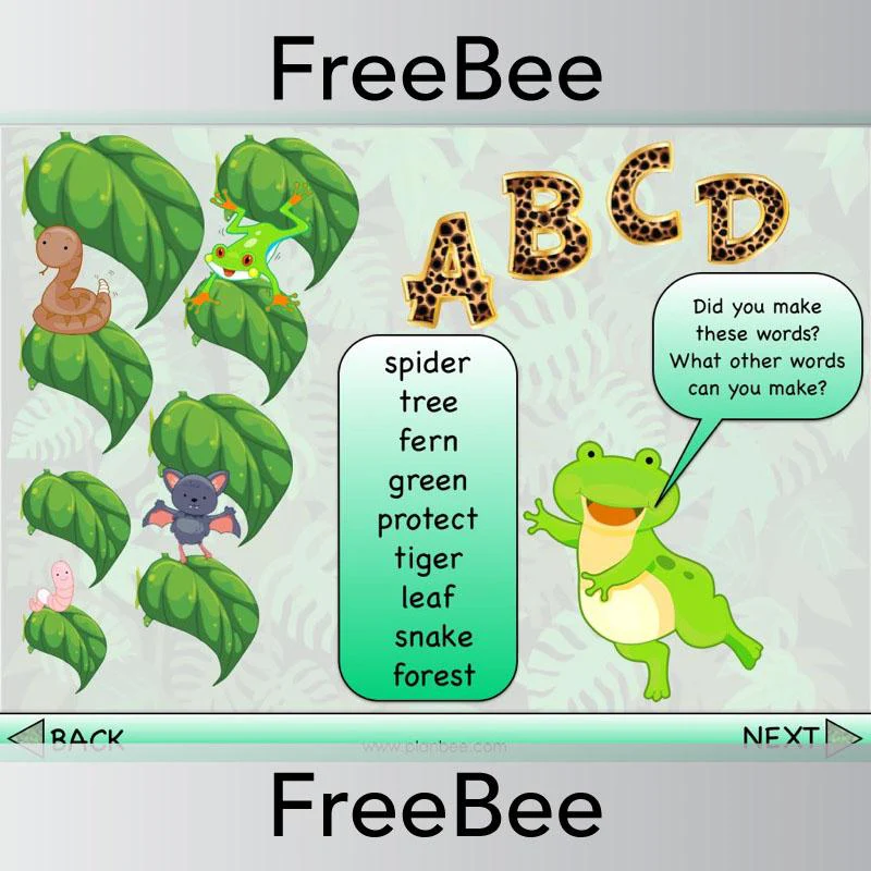 Rainforest Brain Teasers - Image 7