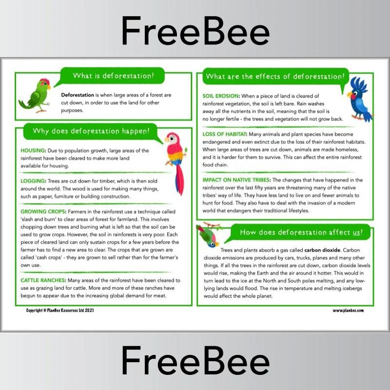 Rainforest Deforestation KS2 Information Sheet