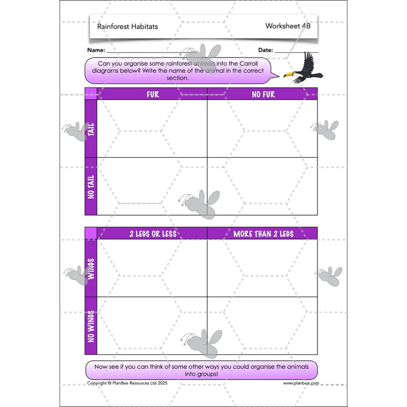 Rainforest Habitats - Image 16