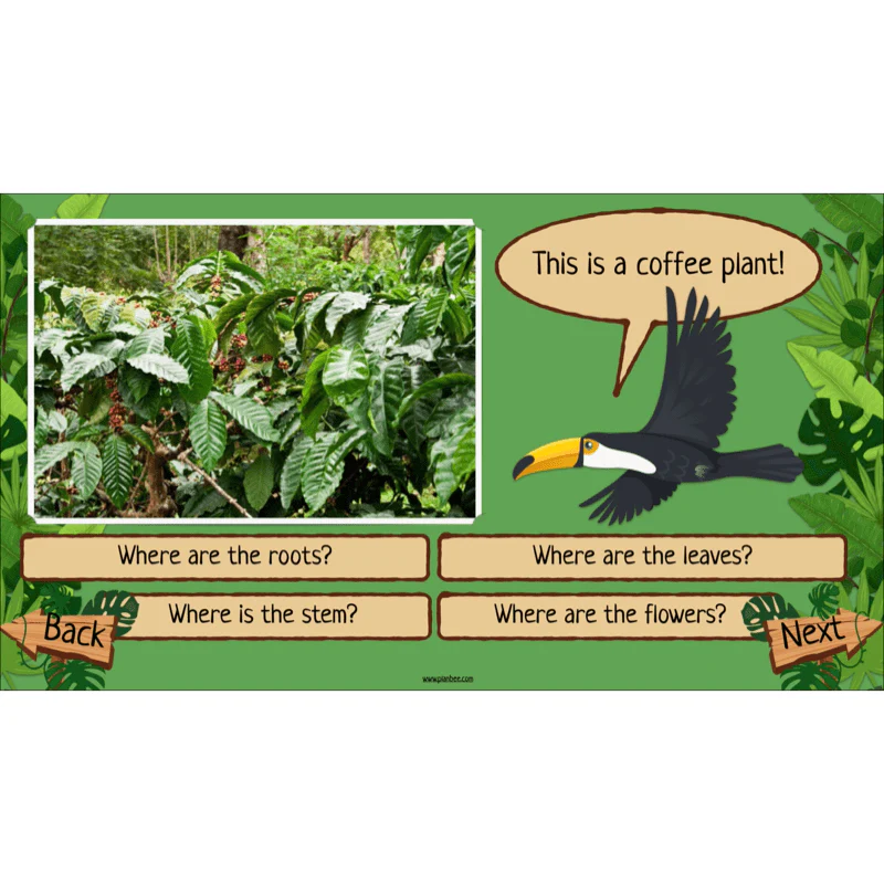 Rainforest Habitats - Image 21