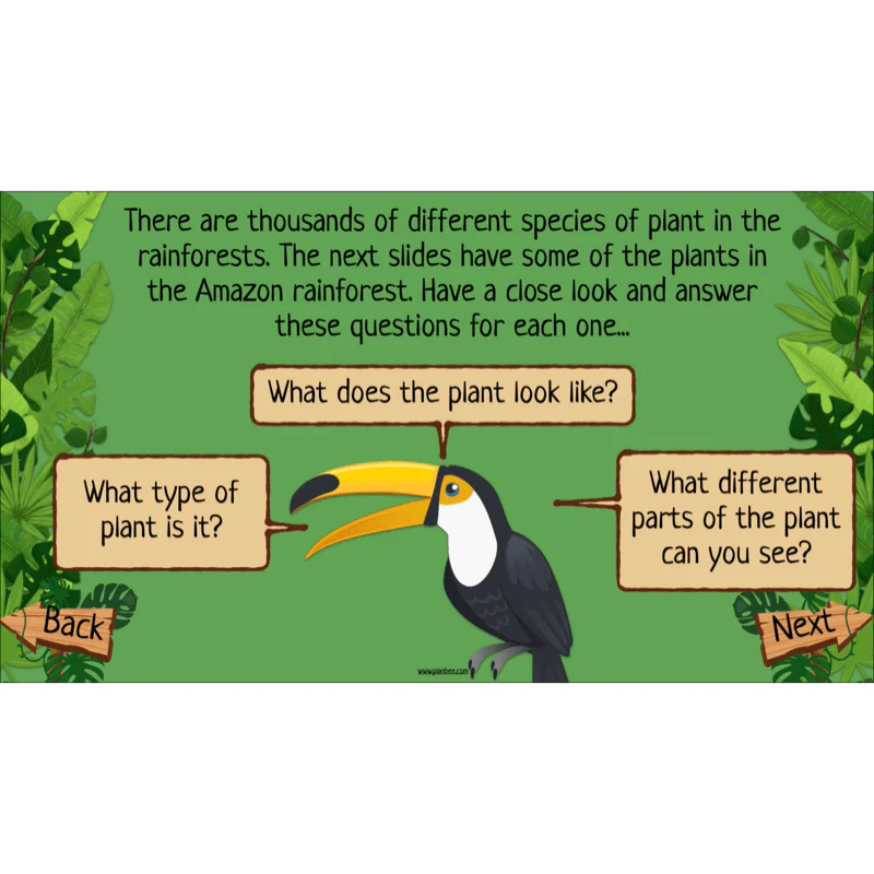 Rainforest Habitats - Image 28
