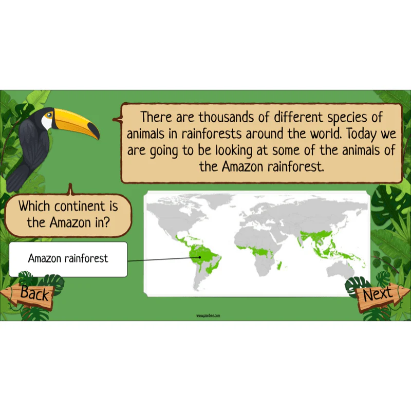 Rainforest Habitats - Image 36