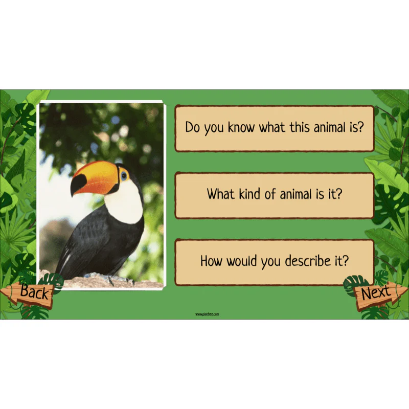 Rainforest Habitats - Image 38