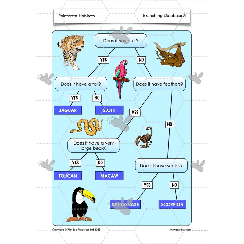 Rainforest Habitats - Image 40