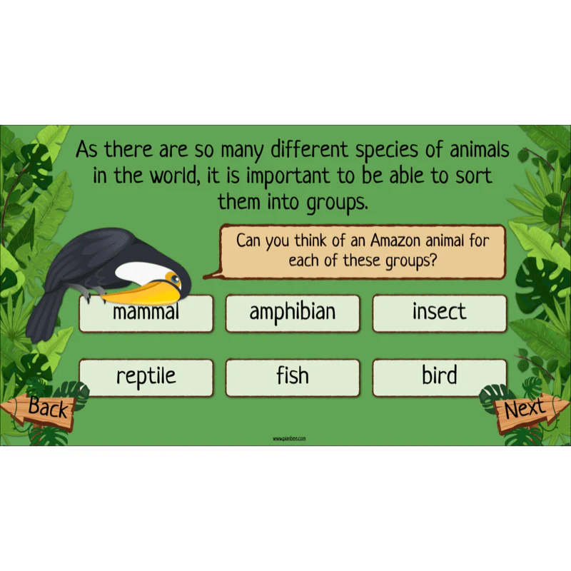 Rainforest Habitats - Image 44
