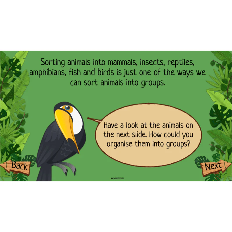 Rainforest Habitats - Image 46