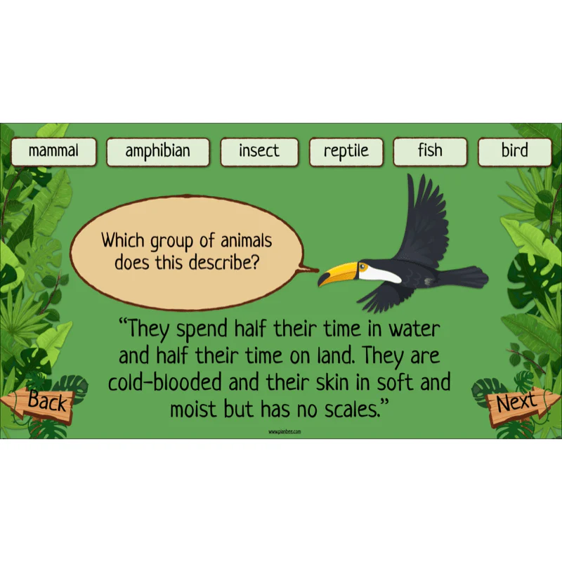 Rainforest Habitats - Image 9