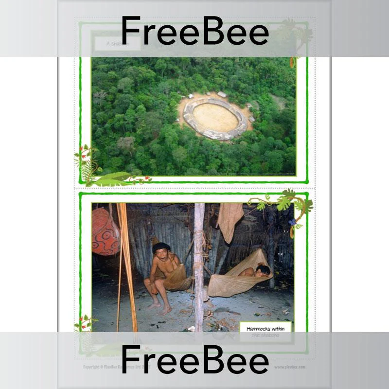 Rainforest Tribes KS2 Information Pack - Image 2