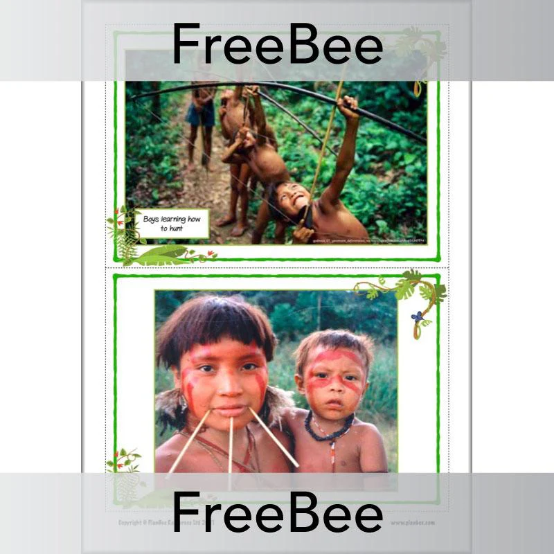 Rainforest Tribes KS2 Information Pack - Image 3