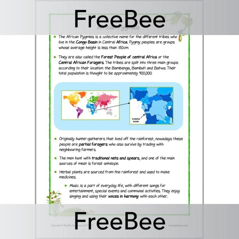 Rainforest Tribes KS2 Information Pack - Image 7