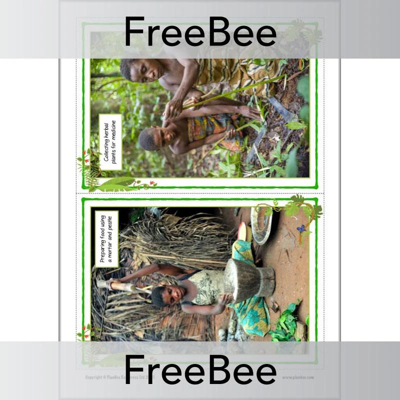 Rainforest Tribes KS2 Information Pack - Image 8