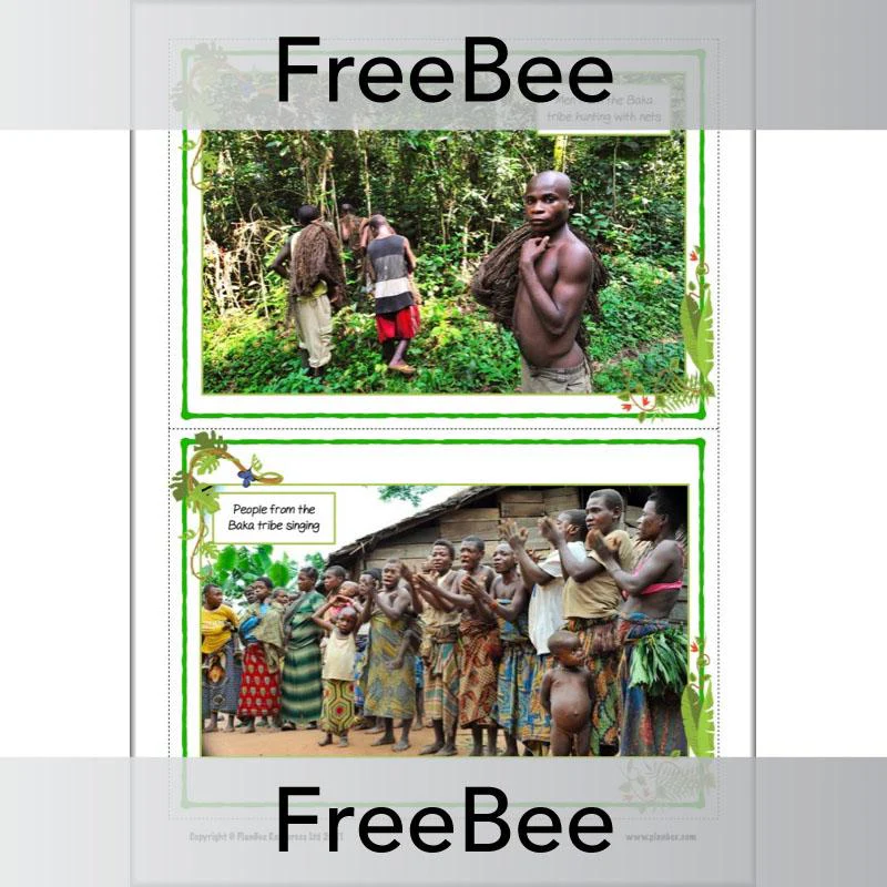 Rainforest Tribes KS2 Information Pack - Image 9