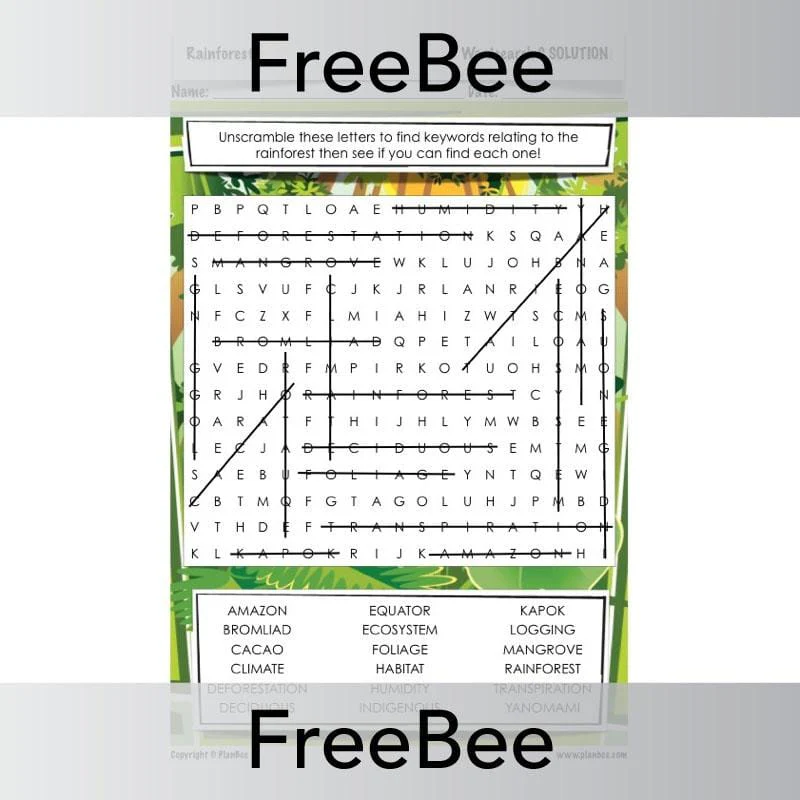 Rainforest Word Search - Image 2