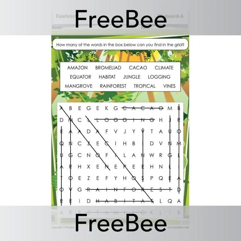 Rainforest Word Search - Image 3