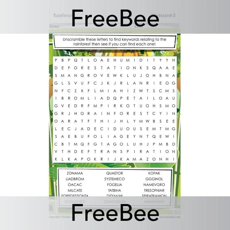 Rainforest Word Search - Image 4