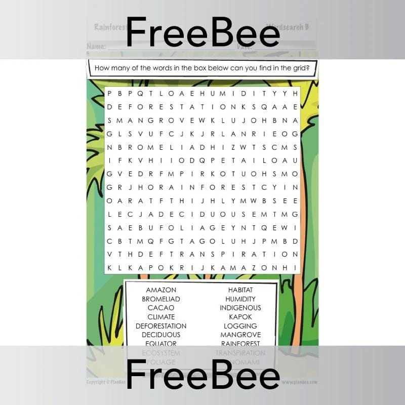 Rainforest Word Search - Image 6