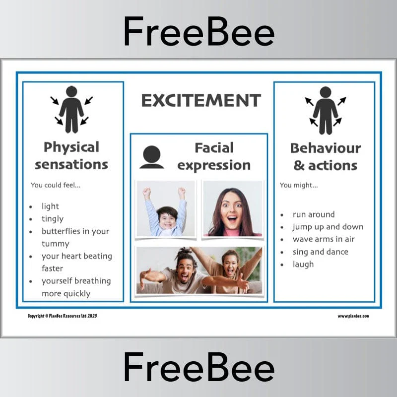 Recognising Emotions Posters - Image 2