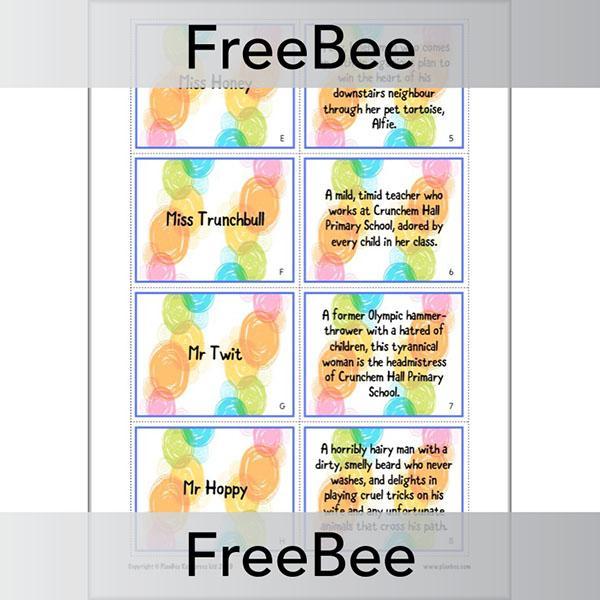 Roald Dahl Character Descriptions Cards - Image 3