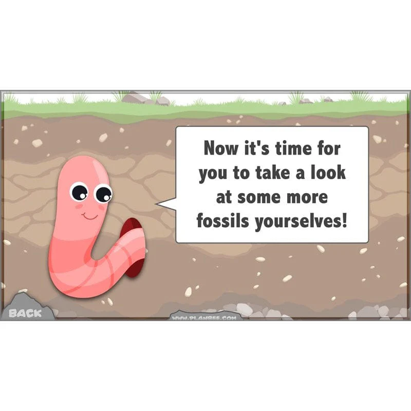 Rocks, Fossils and Soils - Image 10