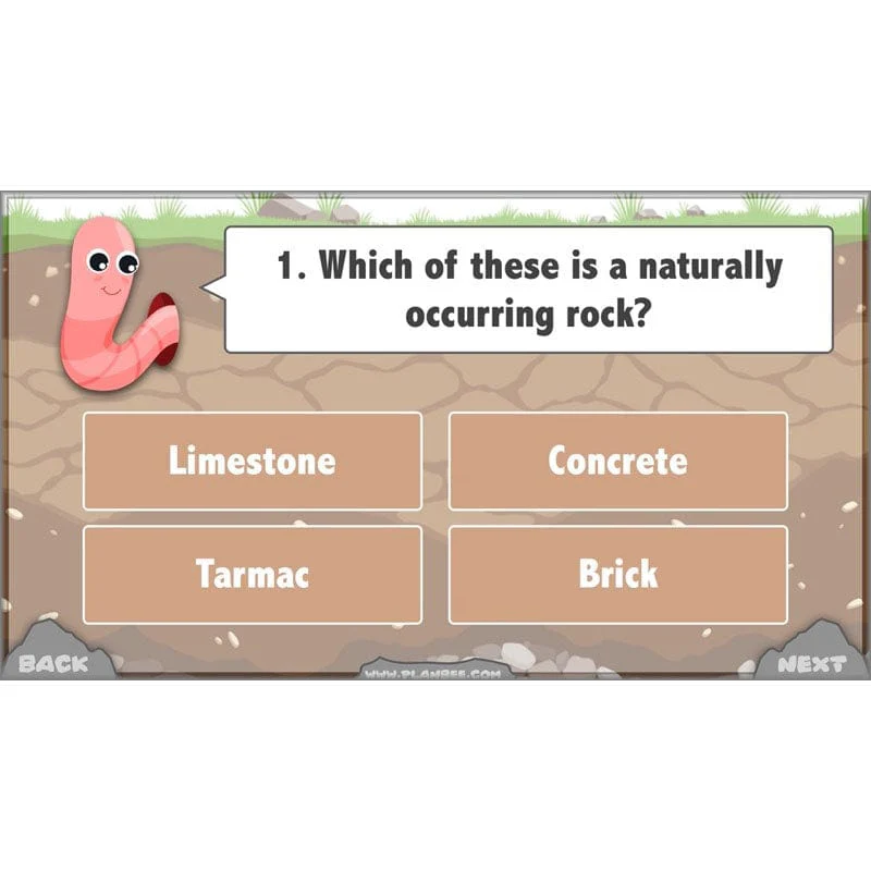 Rocks, Fossils and Soils - Image 11