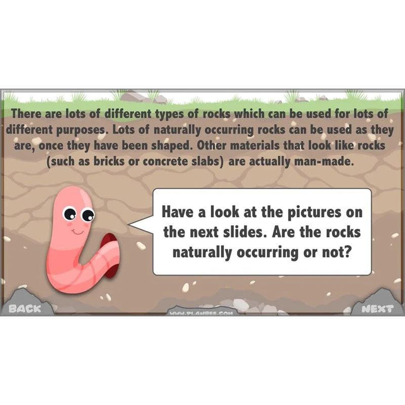 Rocks, Fossils and Soils - Image 24