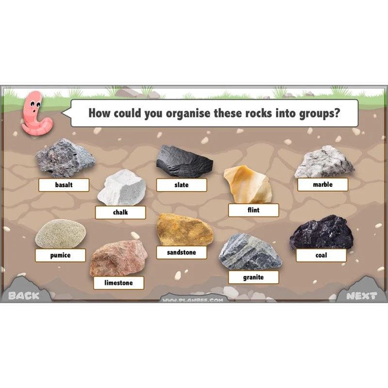 Rocks, Fossils and Soils - Image 31