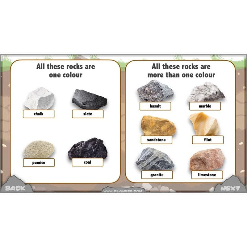Rocks, Fossils and Soils - Image 32