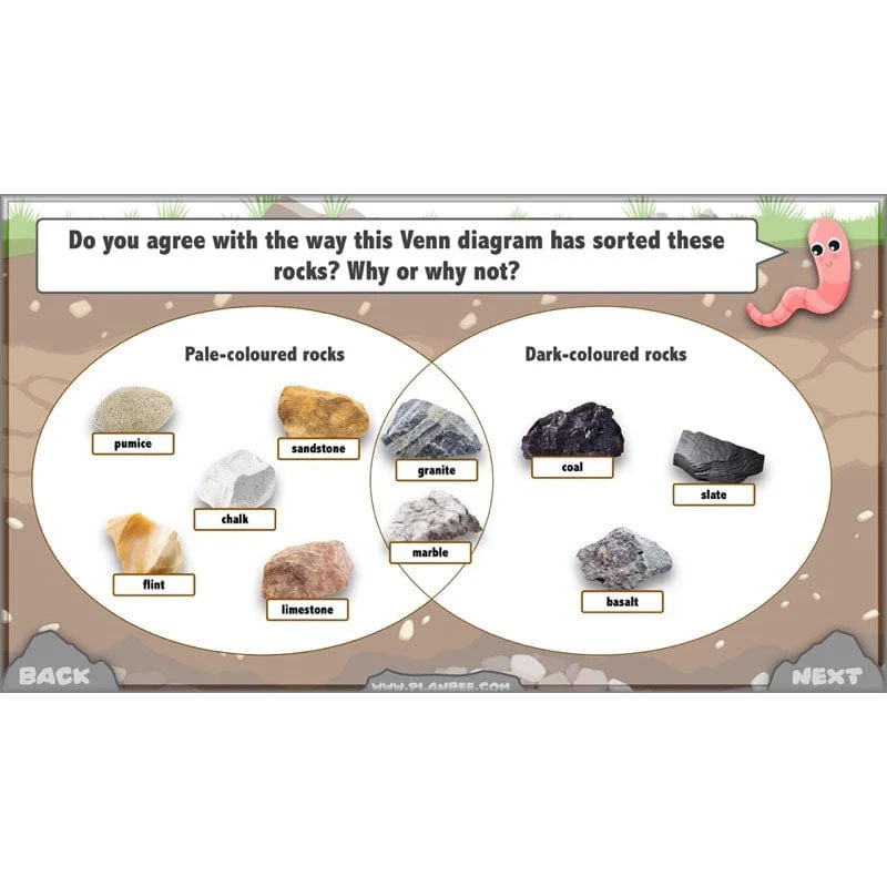 Rocks, Fossils and Soils - Image 33