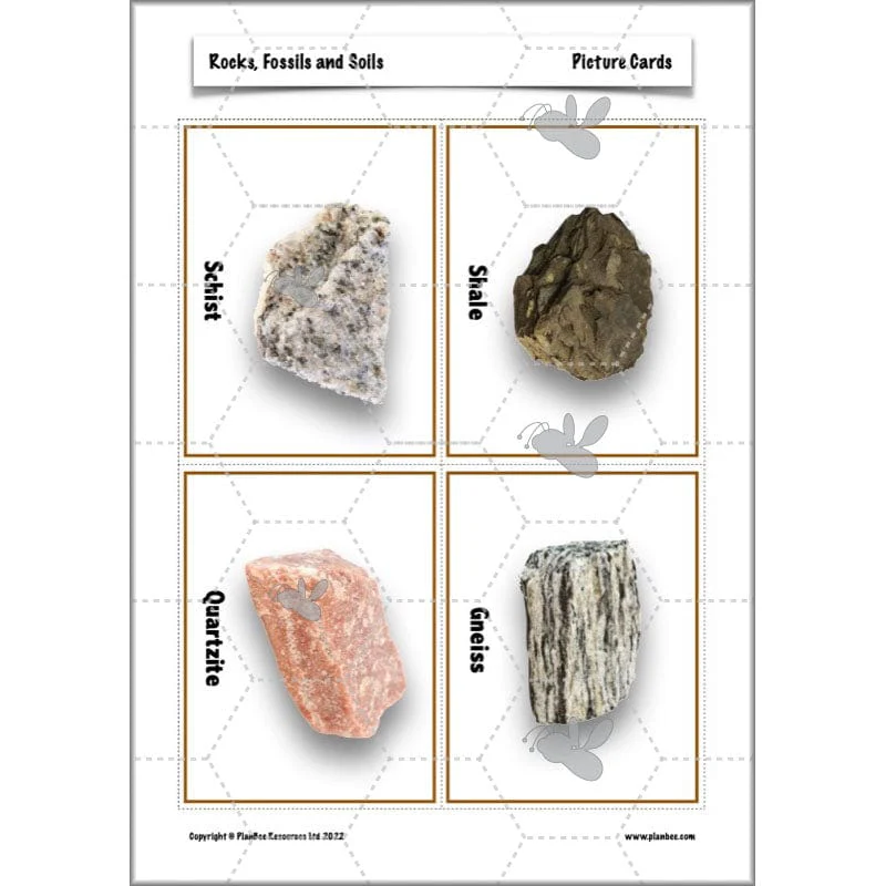 Rocks, Fossils and Soils - Image 37