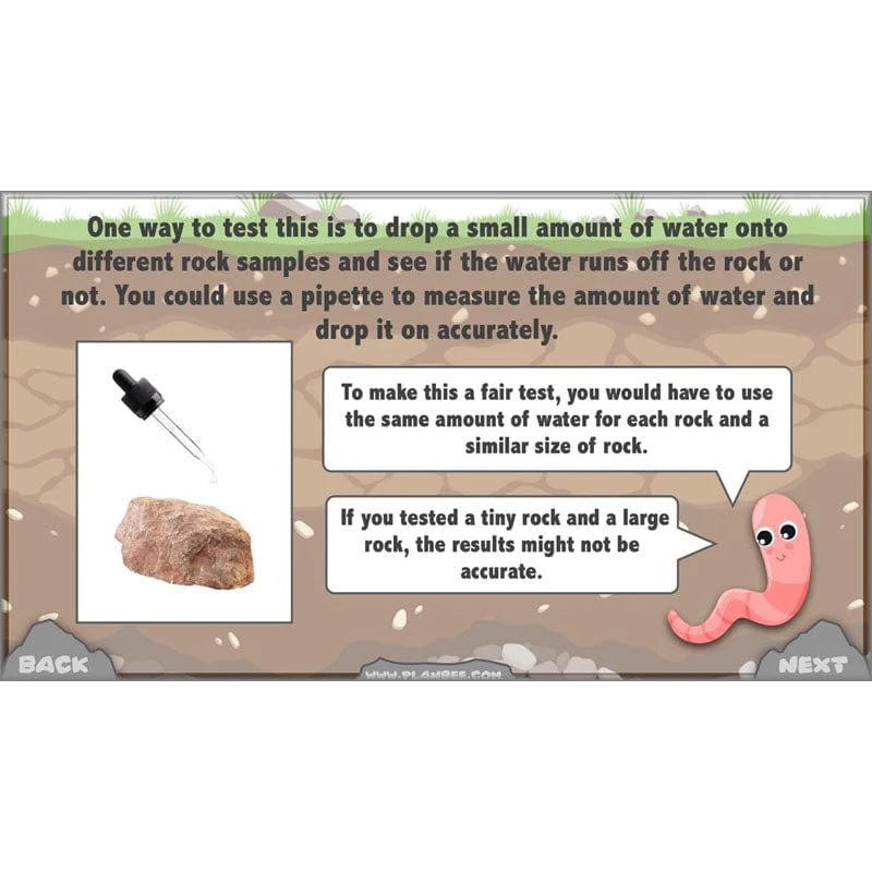 Rocks, Fossils and Soils - Image 42