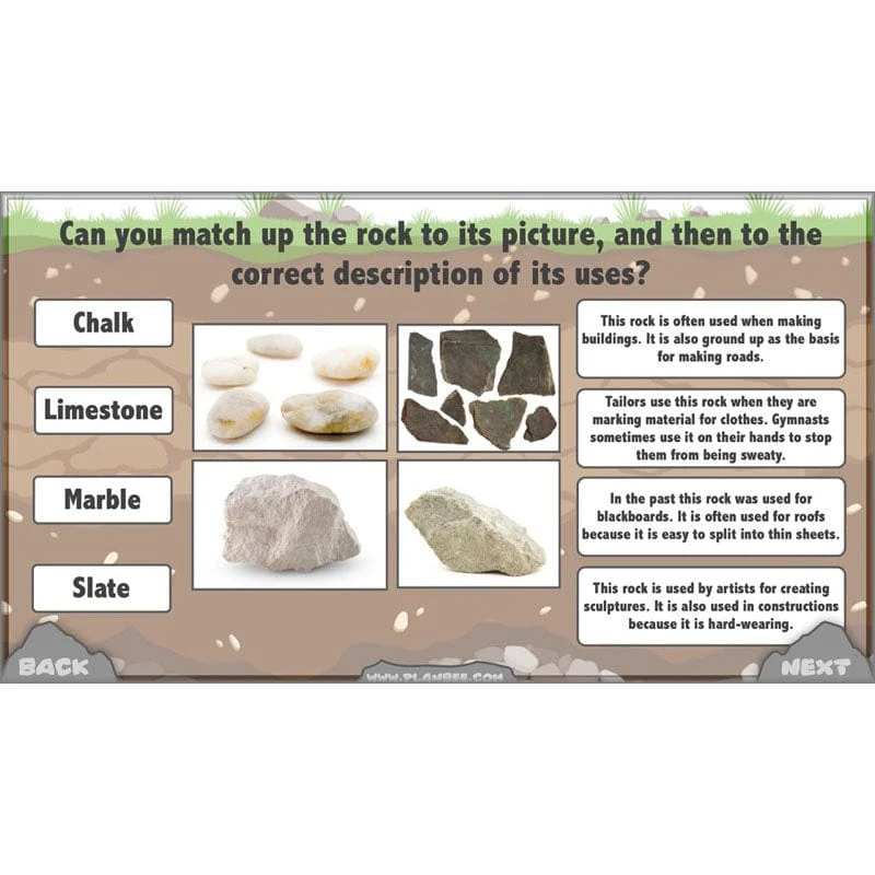 Rocks, Fossils and Soils - Image 48