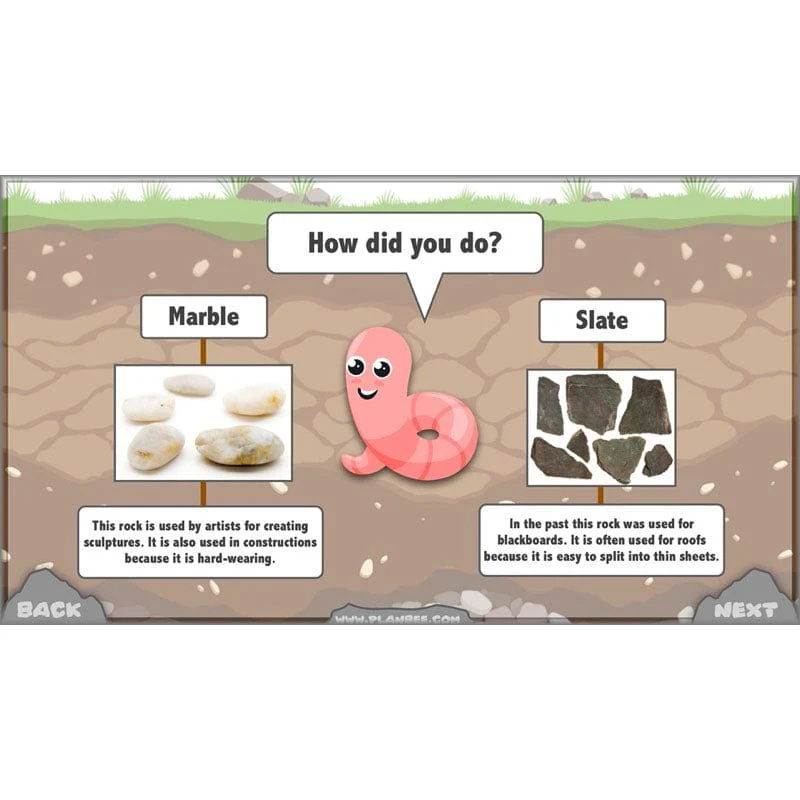 Rocks, Fossils and Soils - Image 49