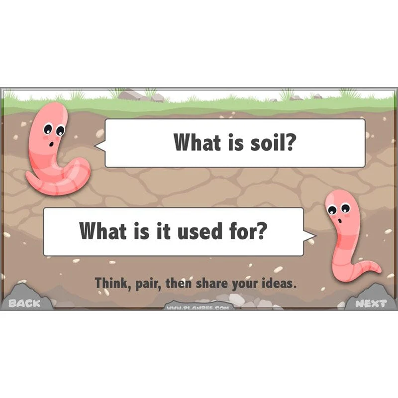 Rocks, Fossils and Soils - Image 55