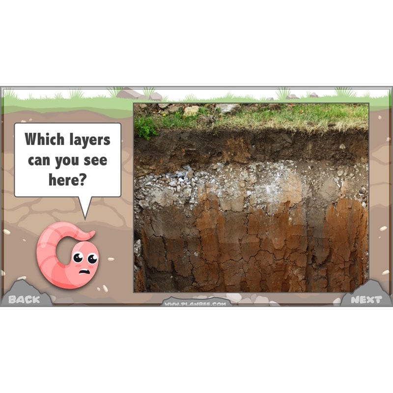 Rocks, Fossils and Soils - Image 56
