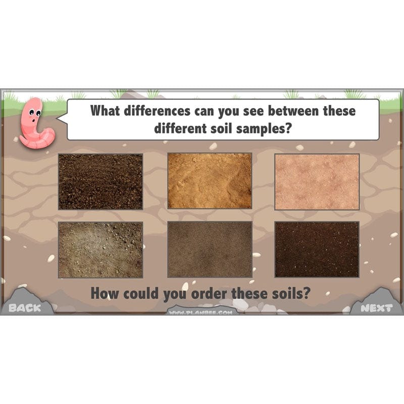 Rocks, Fossils and Soils - Image 57