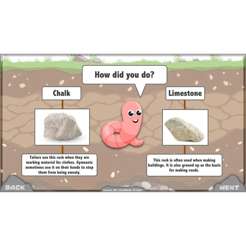 Rocks, Fossils and Soils - Image 6