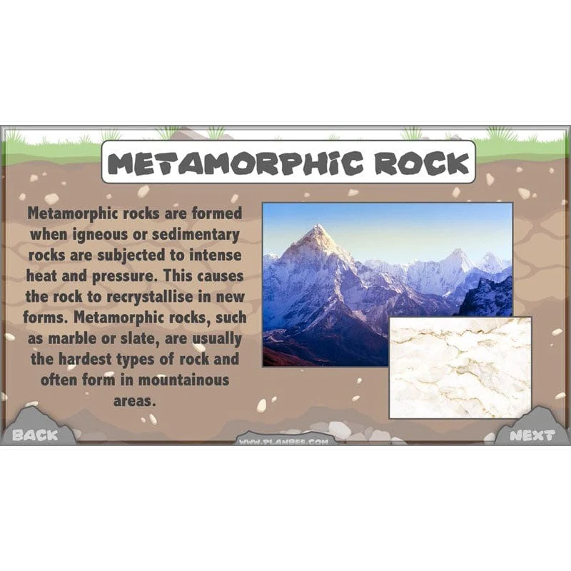 Rocks, Fossils and Soils - Image 63