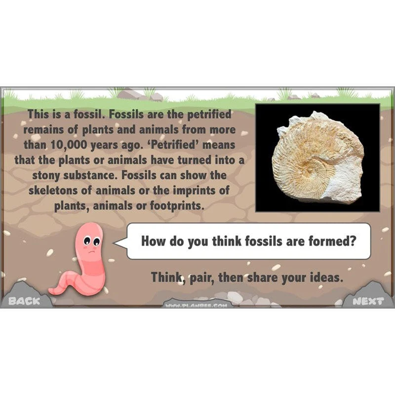 Rocks, Fossils and Soils - Image 64