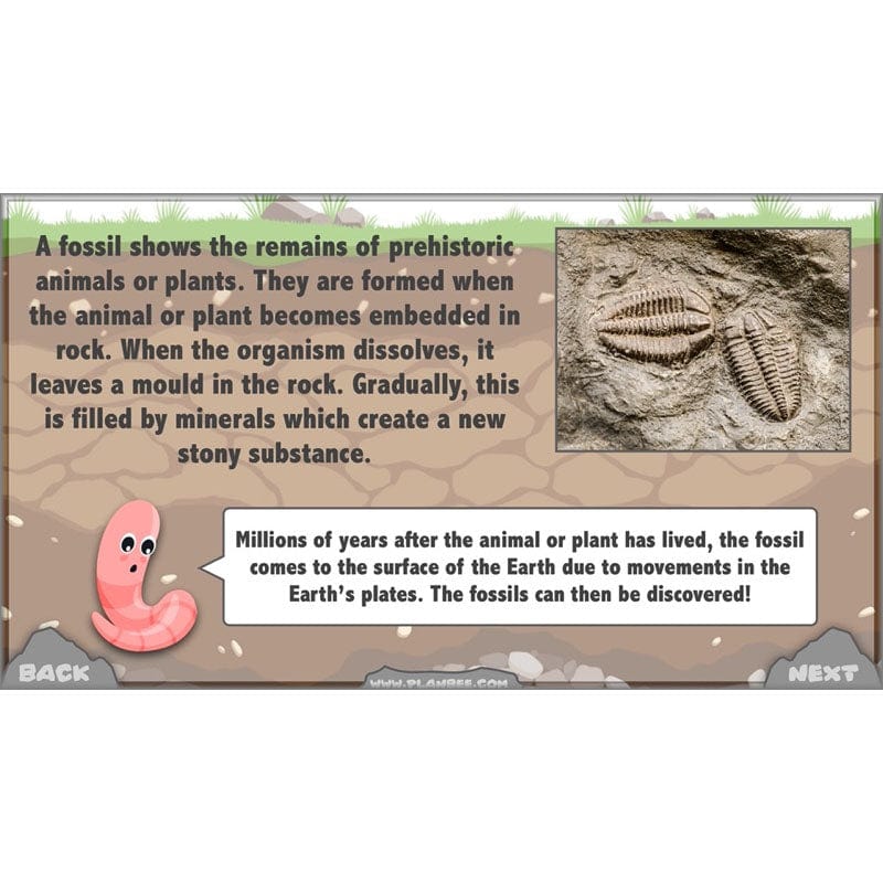 Rocks, Fossils and Soils - Image 71