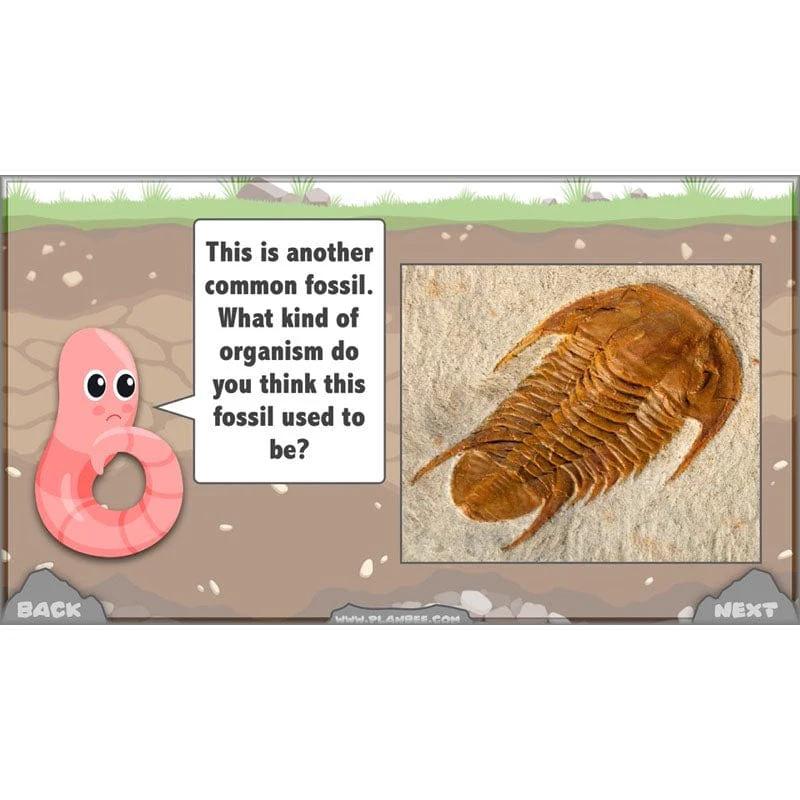 Rocks, Fossils and Soils - Image 72