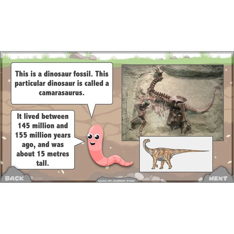 Rocks, Fossils and Soils - Image 74