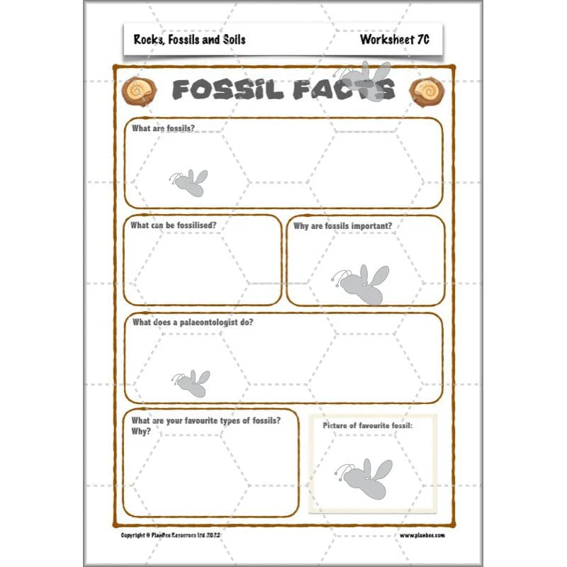 Rocks, Fossils and Soils - Image 78