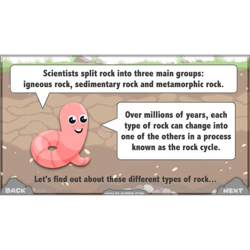 Rocks, Fossils and Soils - Image 8
